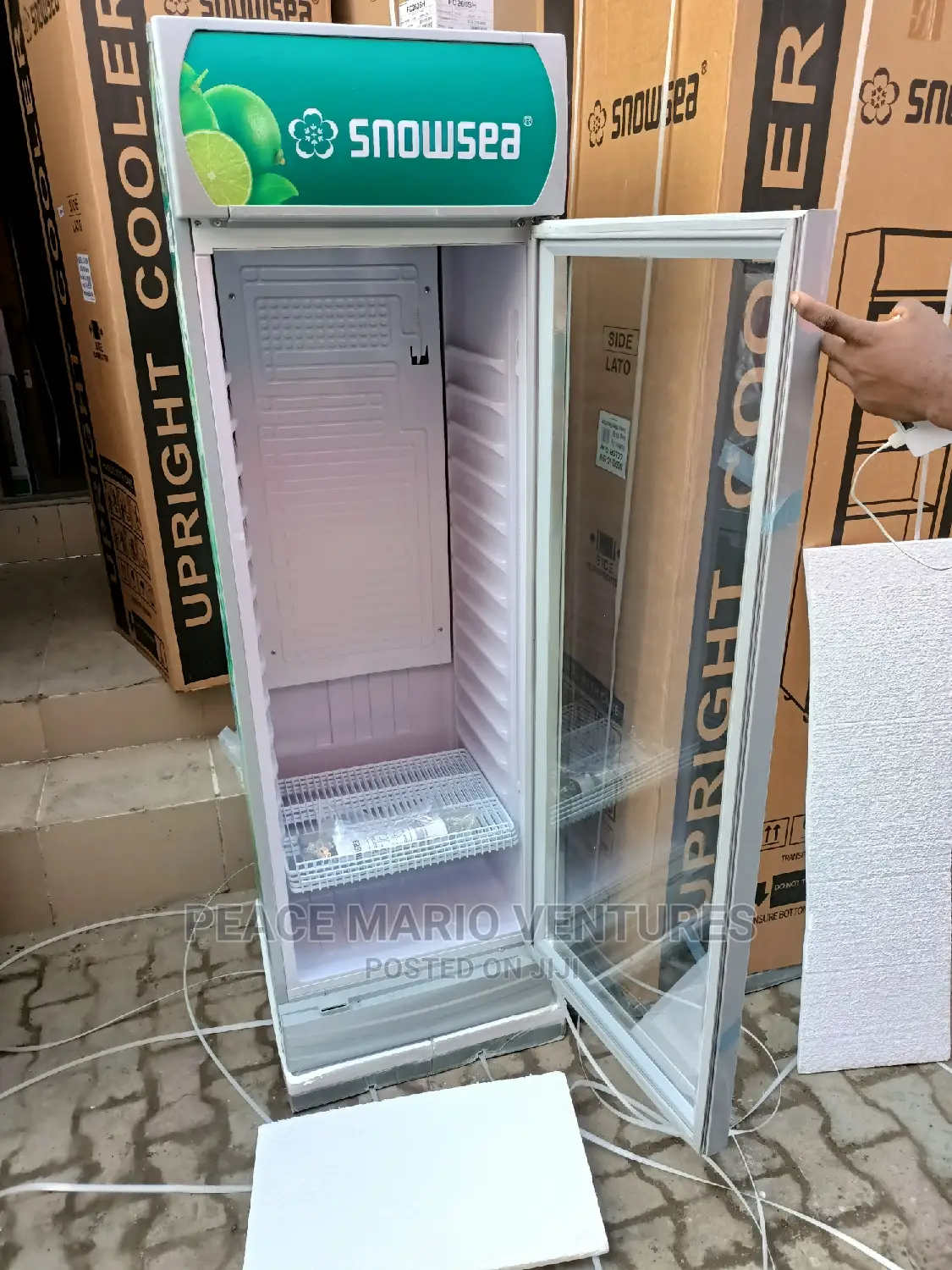 Quality Snowsea Standing Showcase With 3years Warranty 4step