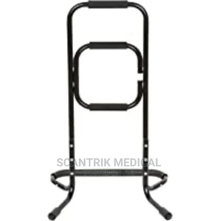 Bandwagon Chair Life Stand Assist