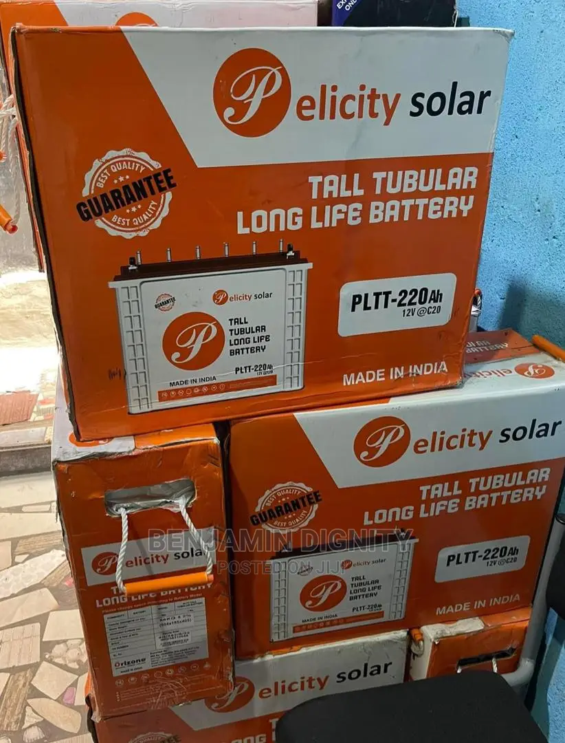 220a Felicity Tubular Battery Battery