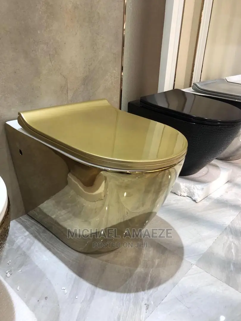 Black and Gold Wall Hung Water Closet