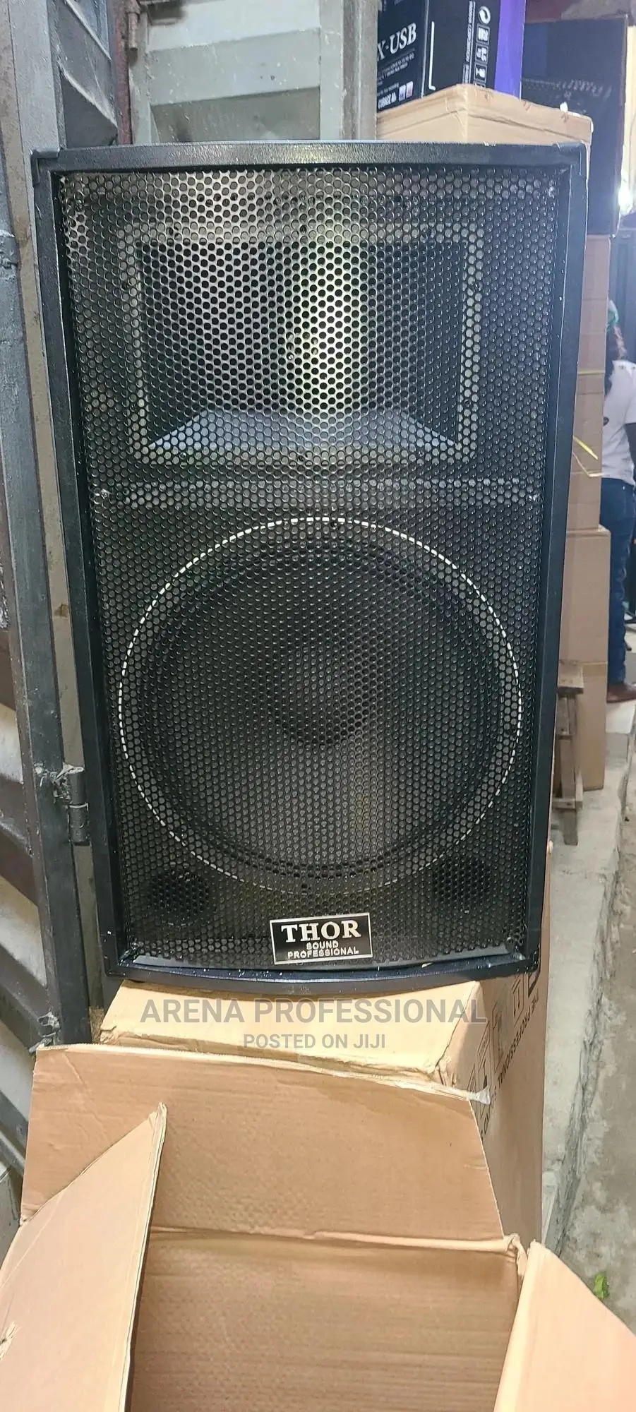 Thor Professional Speaker
