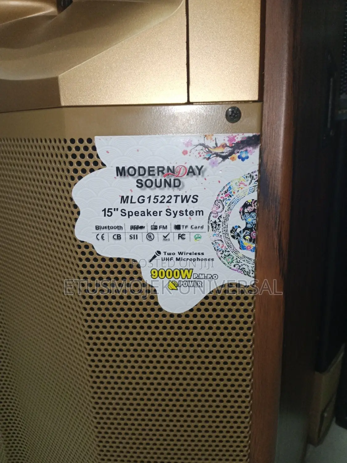 Modern Day PA System (MLG1522TWS)