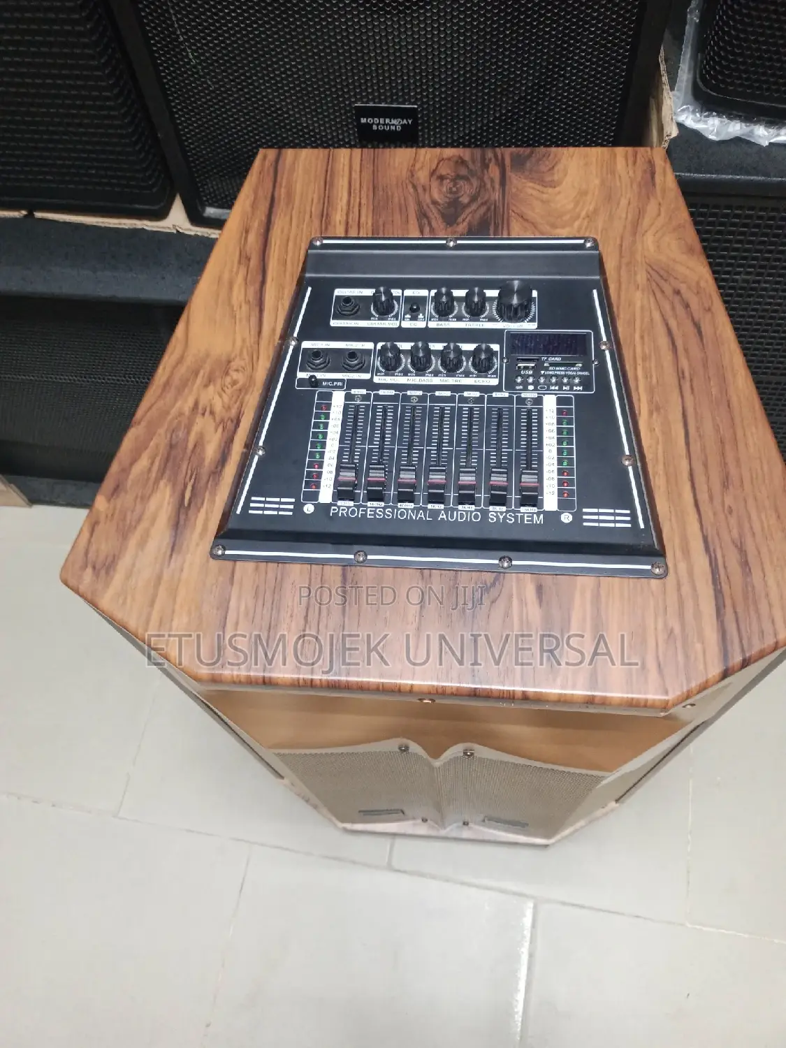 Modern Day PA System (MLG1522TWS)