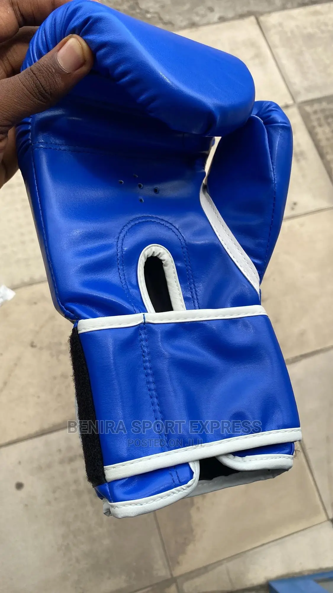 Everlast Boxing Gloves ( 01 )