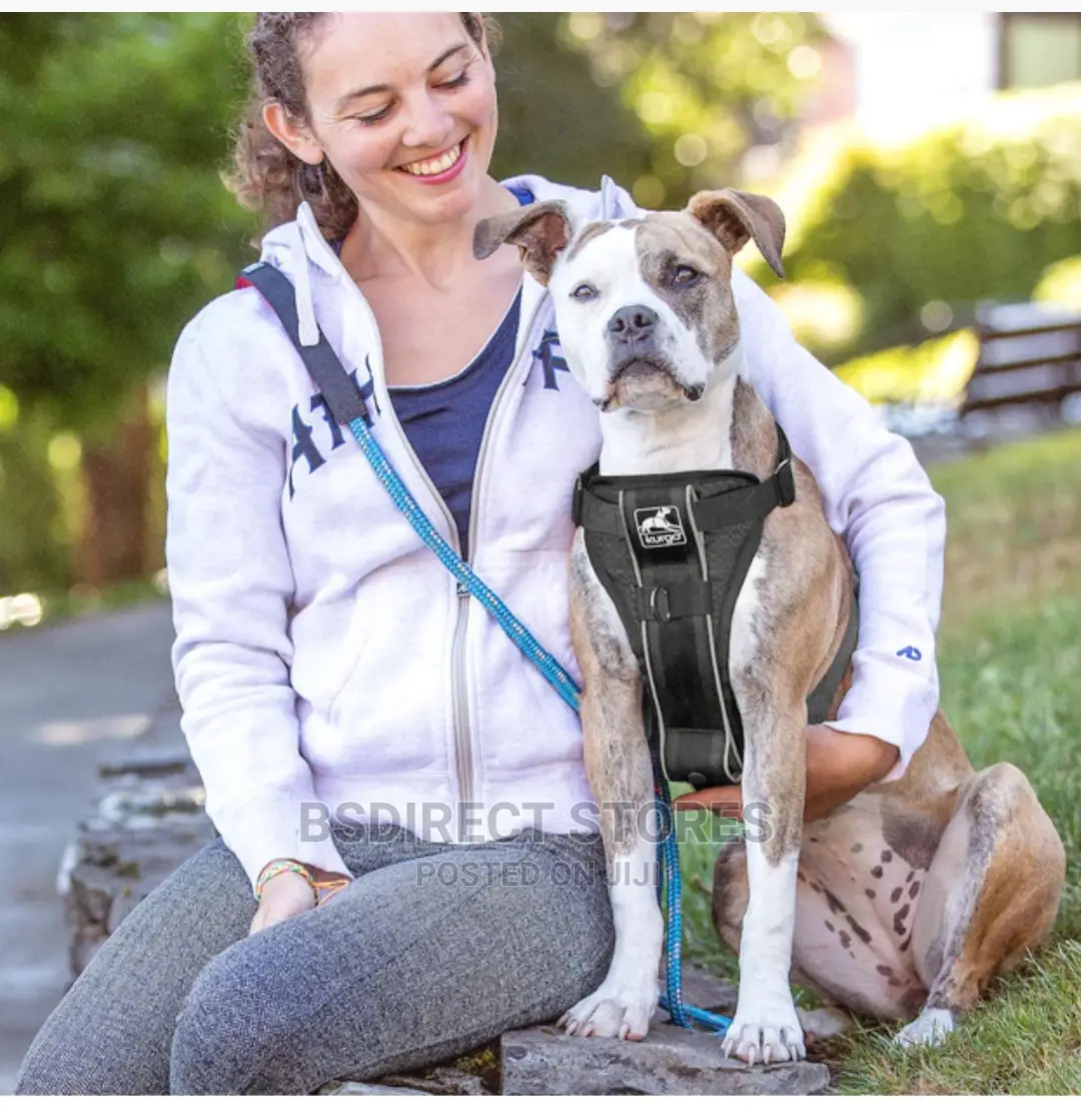 Kurgo Tru-Fit Car Safety Dog Harness With Seat Belt Small
