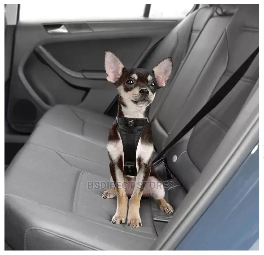 Kurgo Tru-Fit Car Safety Dog Harness With Seat Belt Small
