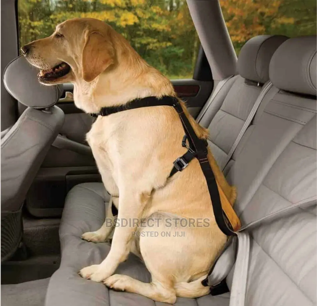 Kurgo Tru-Fit Car Safety Dog Harness With Seat Belt Small