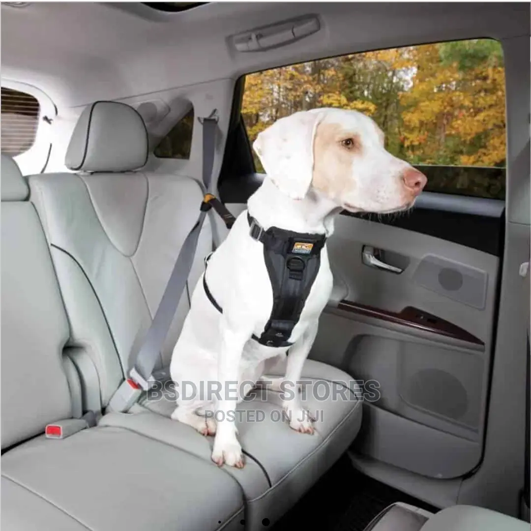 Kurgo Tru-Fit Car Safety Dog Harness With Seat Belt Small