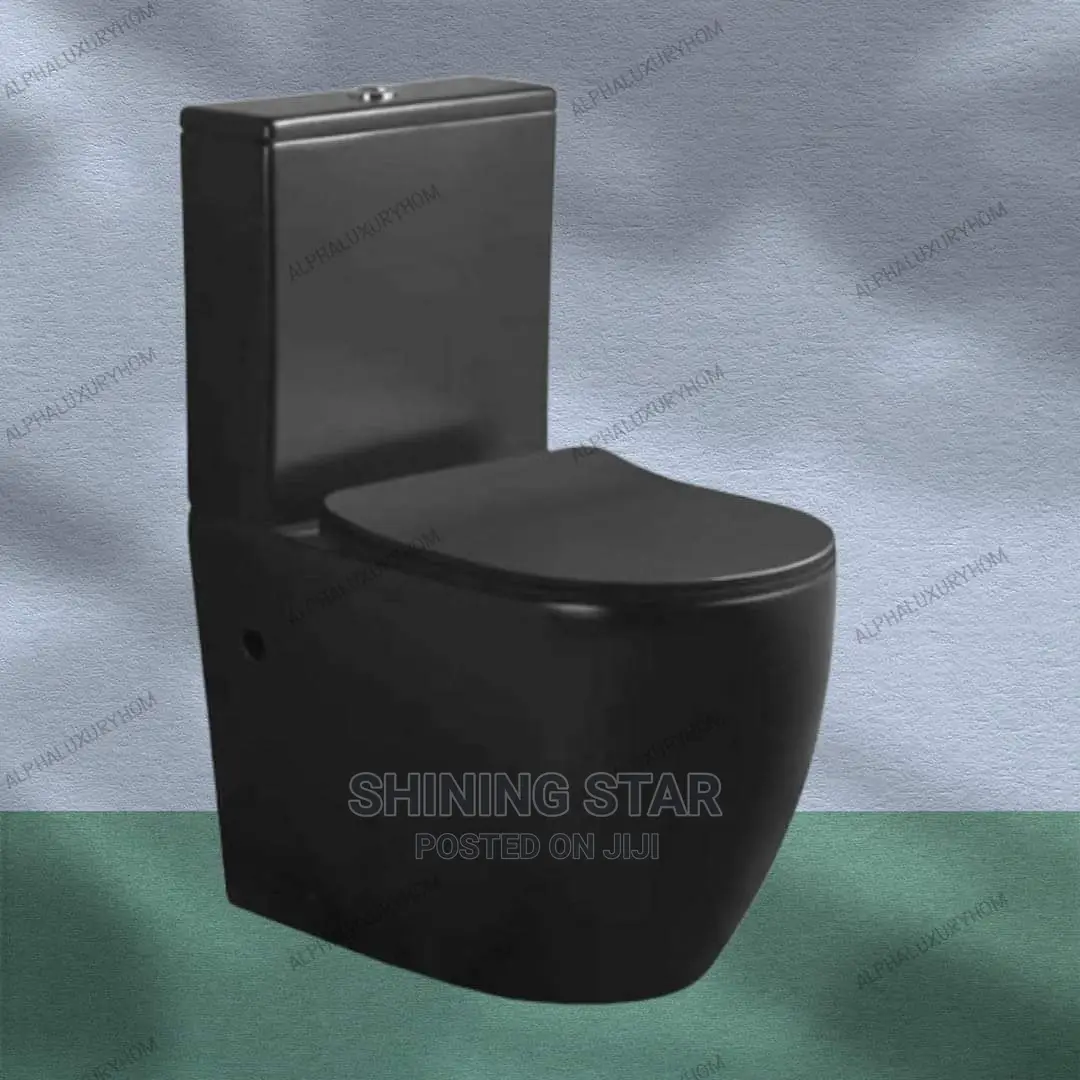 Executive Black Toilet Set