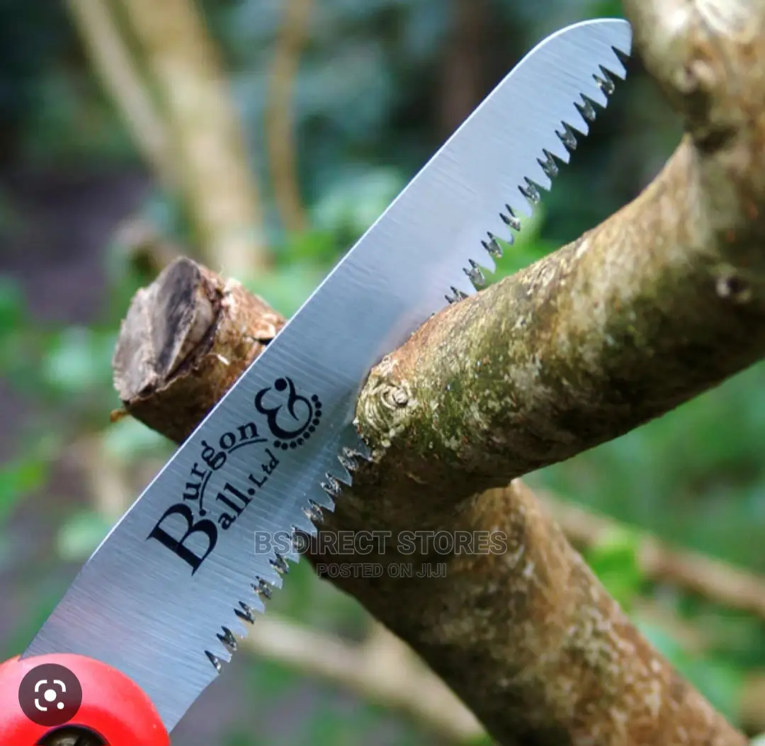 Burgon and Ball RHS Curved Folding Pruning Saw, 32 Cm Blade