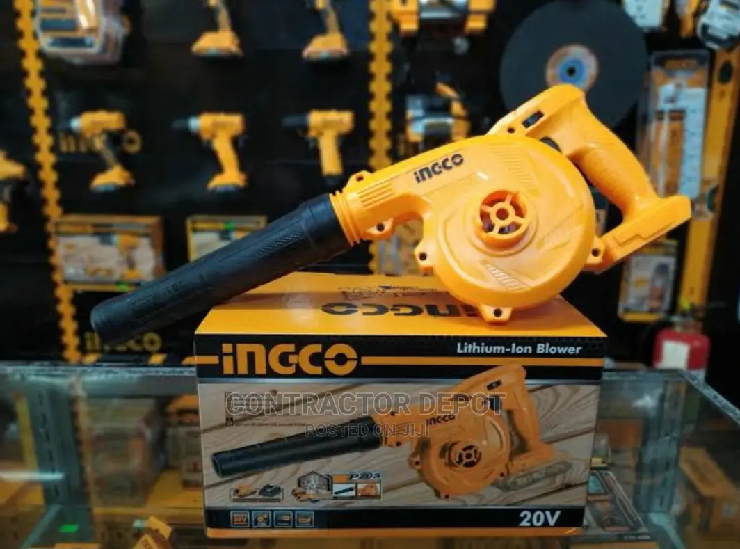 Ongco Original Lithium-Ion Blower With Battery Charger 20V