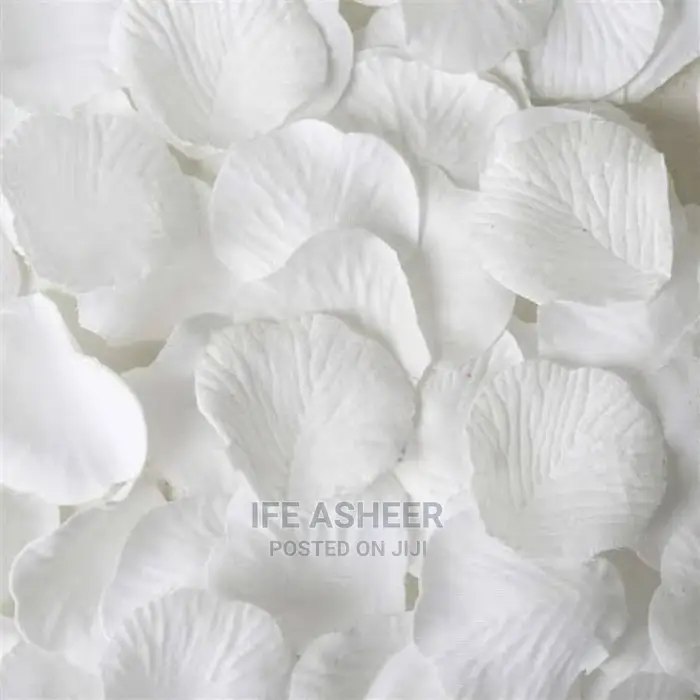 White Petals - 300pcs
