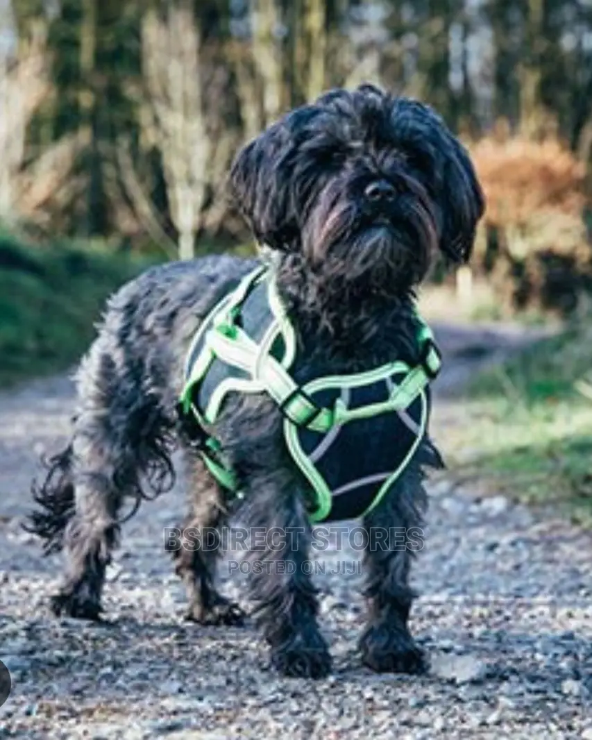 3 Peaks Grey SMALL X- Trail Dog Reflective Trim Harness