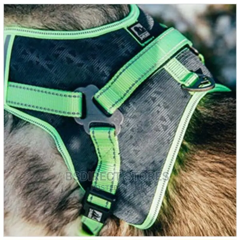 3 Peaks Grey SMALL X- Trail Dog Reflective Trim Harness