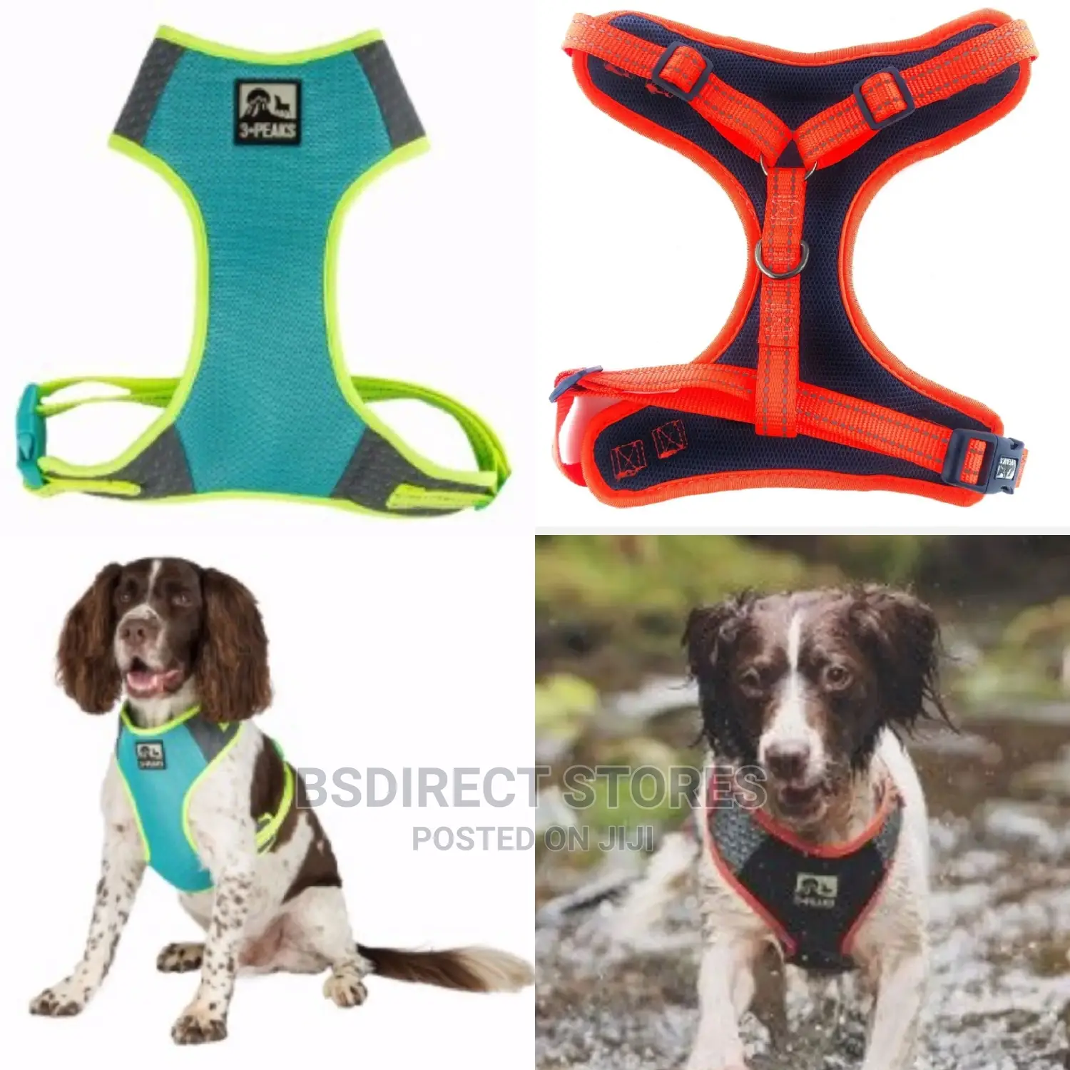 3 Peaks Reflective Mesh Dog Harness Turquoise, Orange. S - L