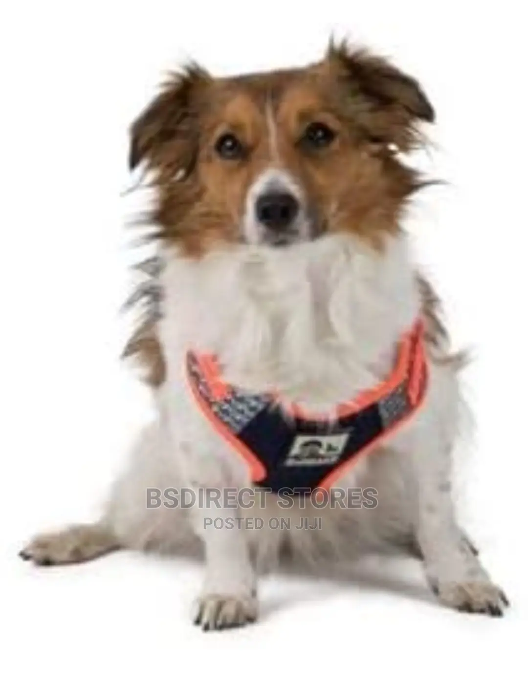3 Peaks Reflective Mesh Dog Harness Turquoise, Orange. S - L
