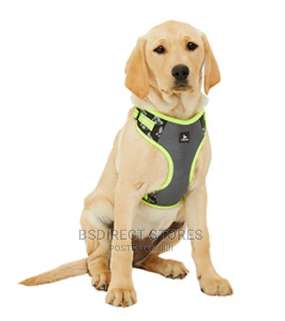 3 Peaks Reflective Mesh Dog Harness Turquoise, Orange. S - L