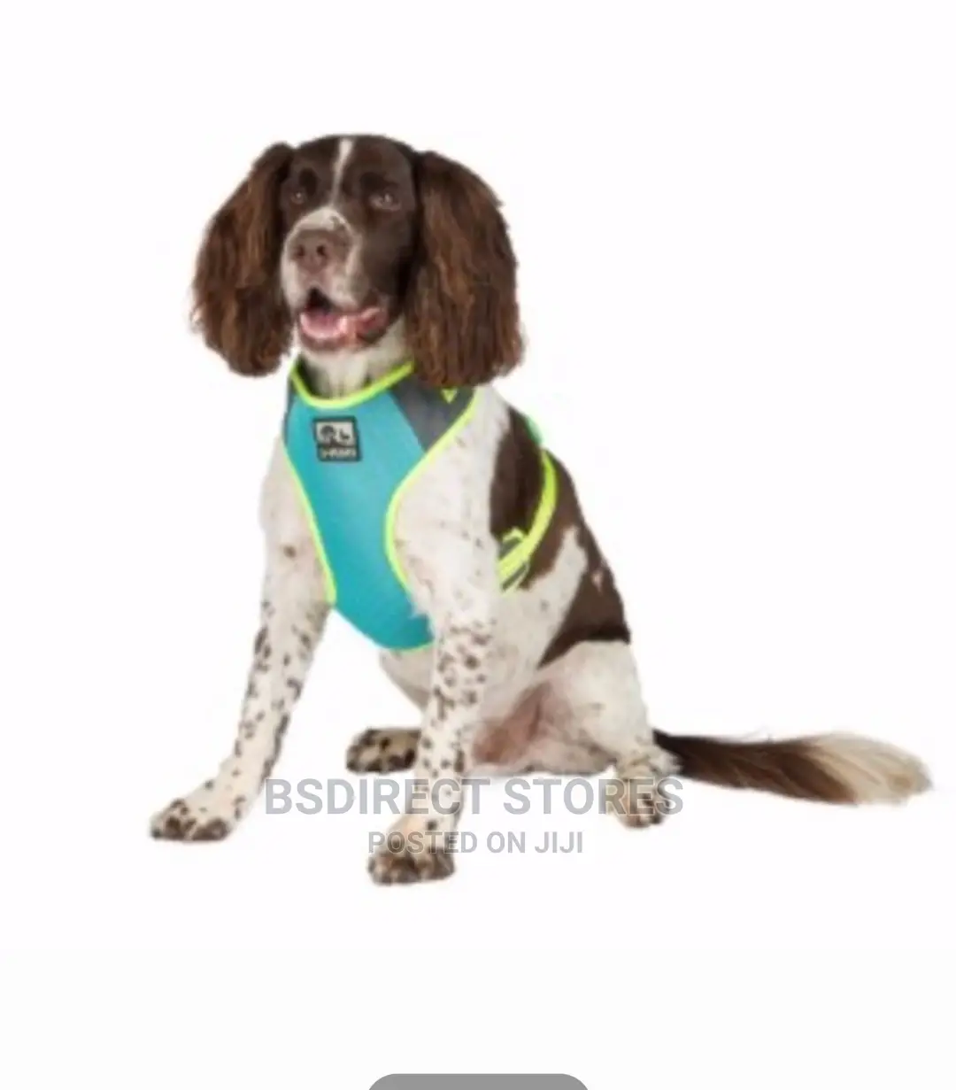 3 Peaks Reflective Mesh Dog Harness Turquoise, Orange. S - L