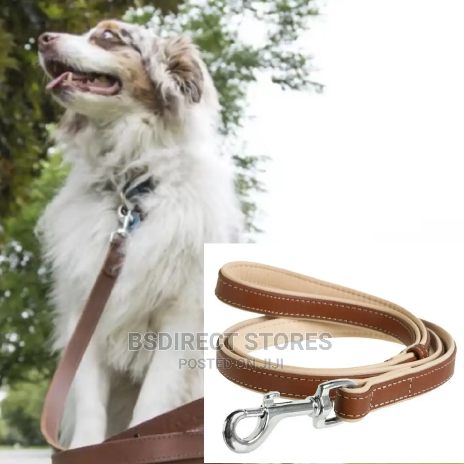 CC COLLAR WAUDOG Large Soft Leather Leash (W-25mm,L-122cm)