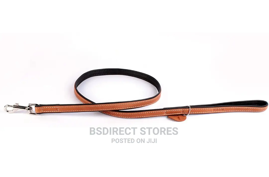 CC COLLAR WAUDOG Large Soft Leather Leash (W-25mm,L-122cm)