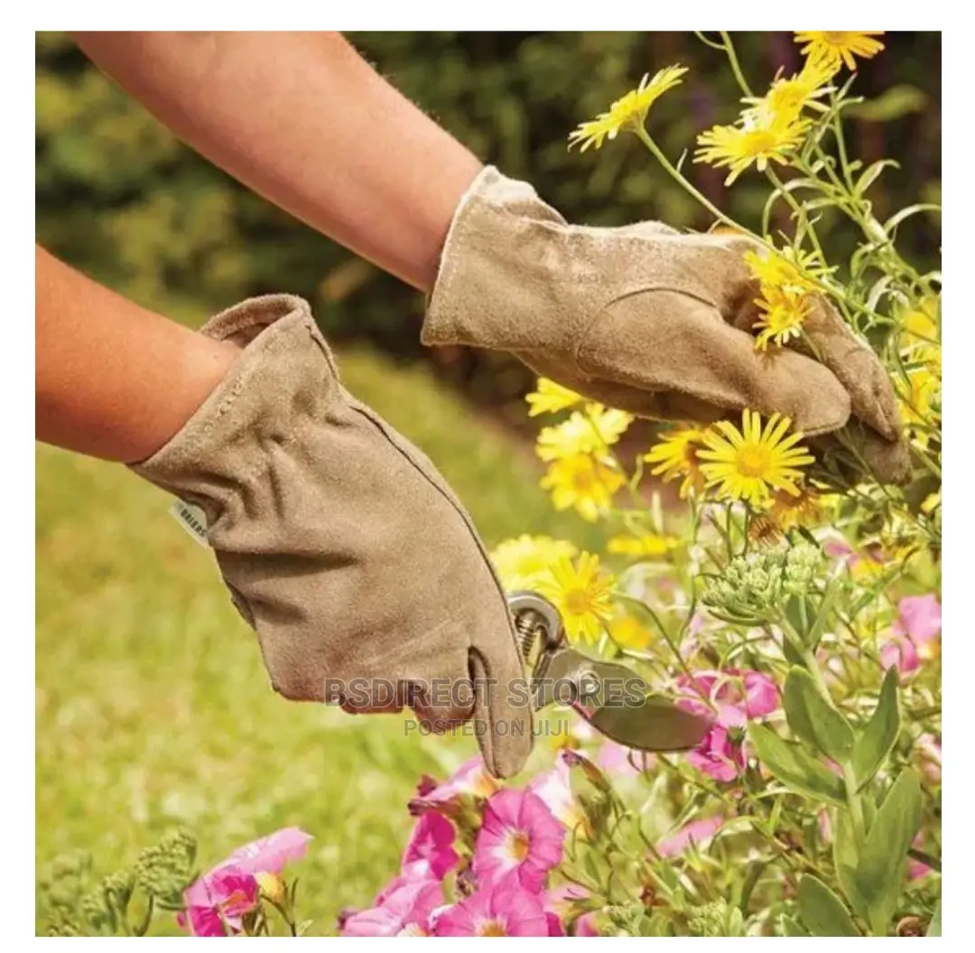Briers Premium Olive Gardening Gloves, Washable, Thorn-proof