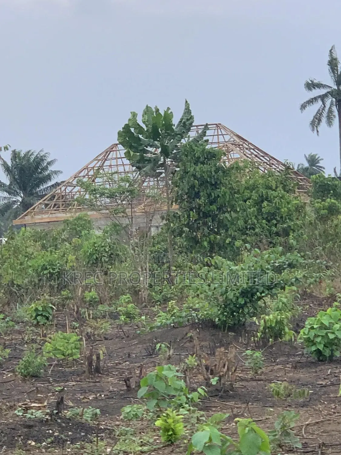 Abara University