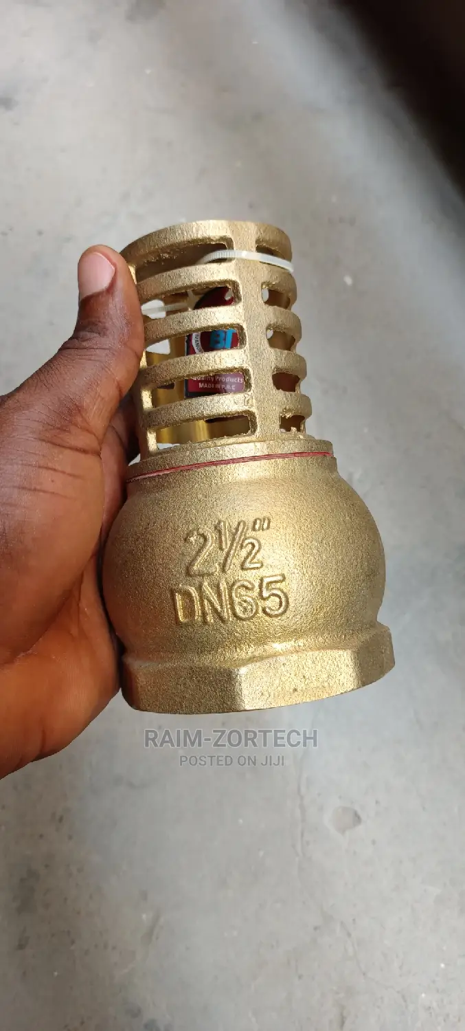 21/2" Iron Brass Foot Valve