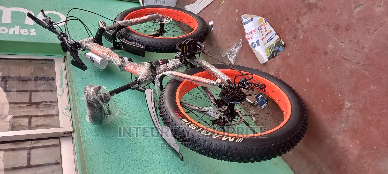 Aduit Bicycles for Adults