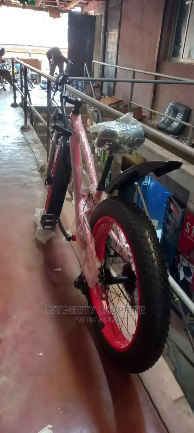 Aduit Bicycles for Adults