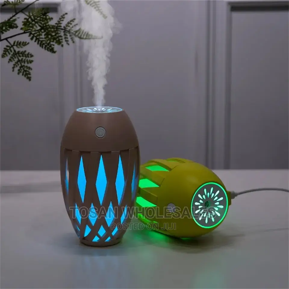 Creative Olive Humidifier With Oil