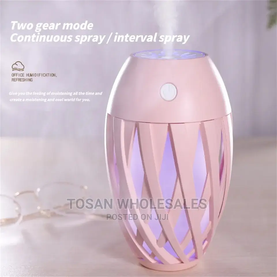 Creative Olive Humidifier With Oil