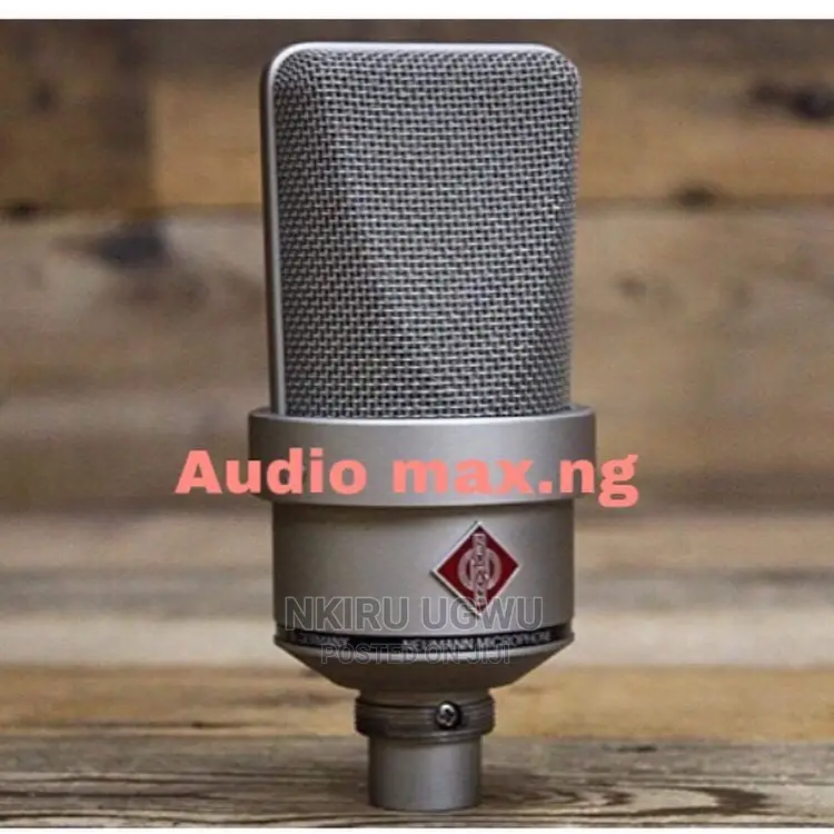 Neumann TLM 103 Large Diaphragm Mic (Original)