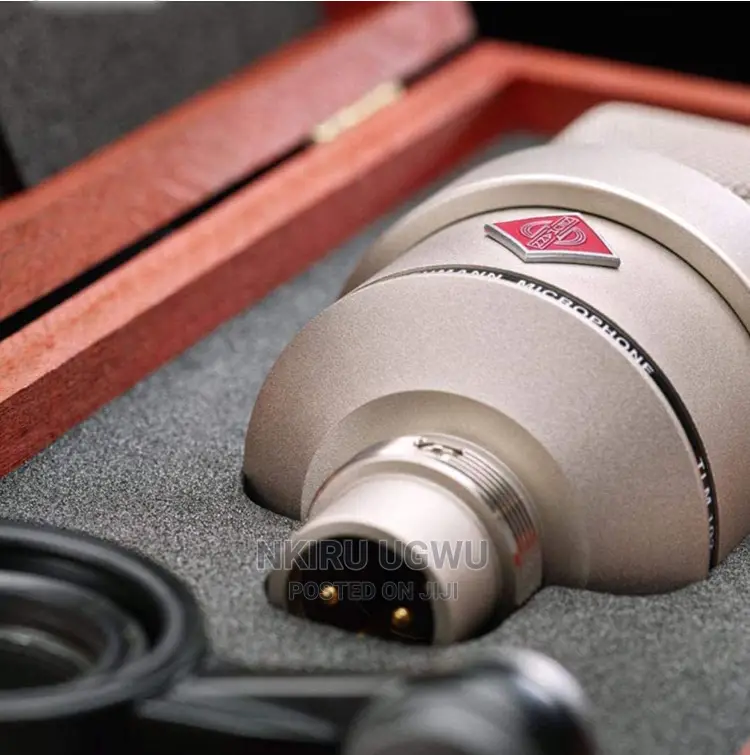 Neumann TLM 103 Large Diaphragm Mic (Original)