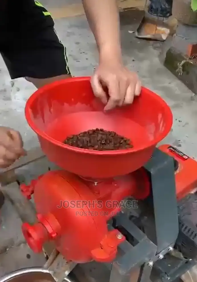 Wet and Dry Hammer Mill Machine.