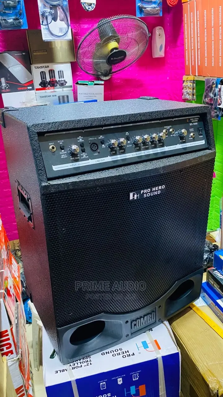 Bass Guitar Combo 3000 Watts