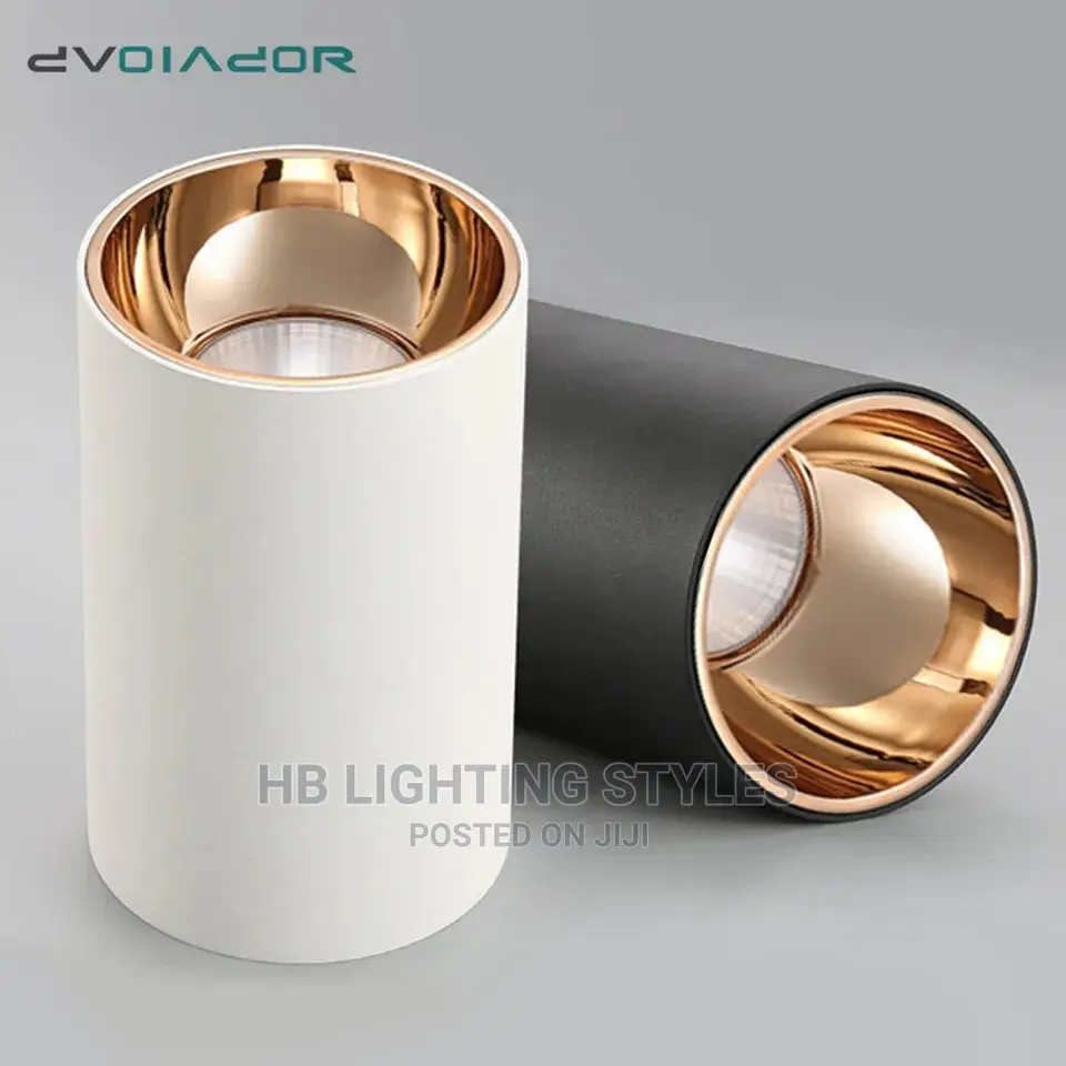 Modern Led Downlight Surface Mounted Aluminum Spot Led