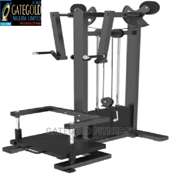 Commercial Lateral Raise DFT-1325