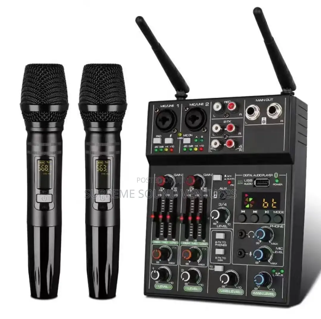 SSV Mixer With Double Wireless Microphone