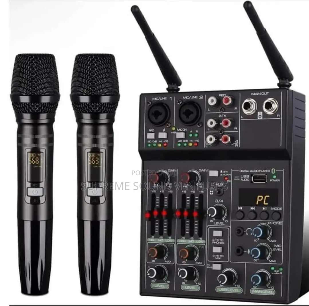 SSV Mixer With Double Wireless Microphone