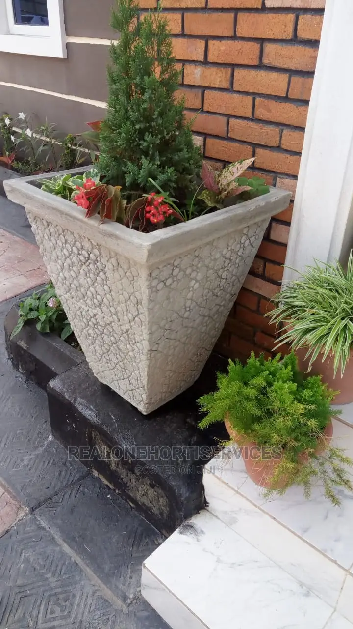 Concrete Cement Pot
