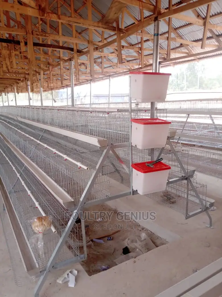 120 Capacity Hot Dipped Galvanized Chicken Cage