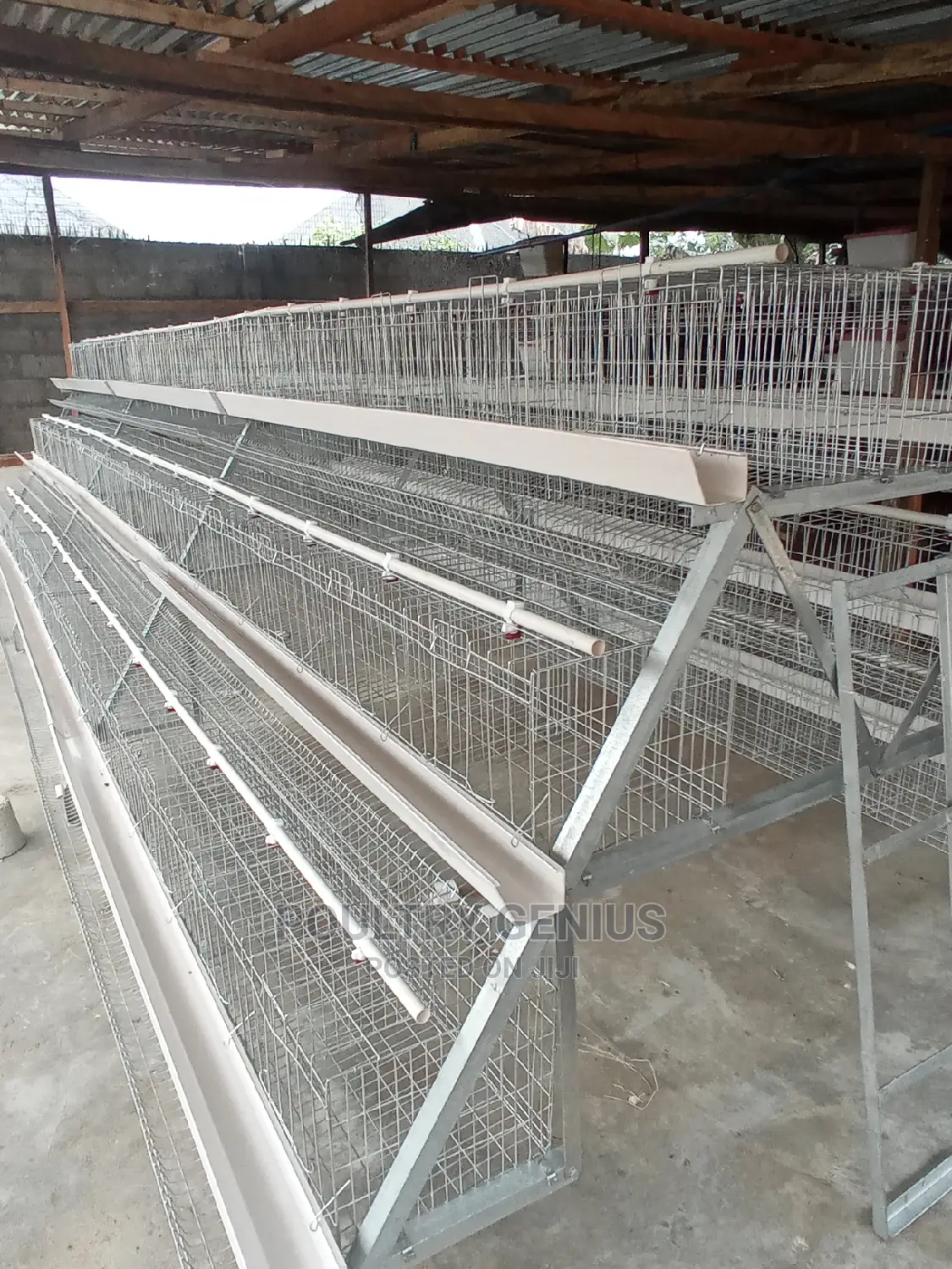 120 Capacity Hot Dipped Galvanized Chicken Cage