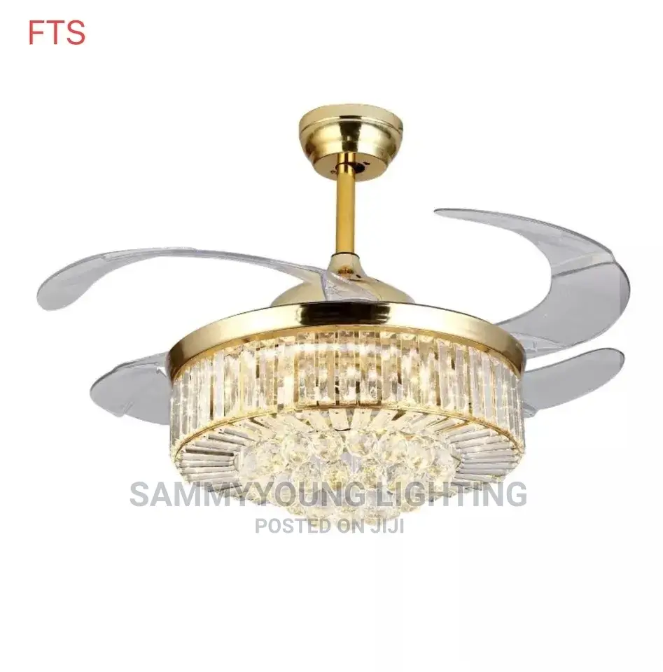 Fan Chandelier Light