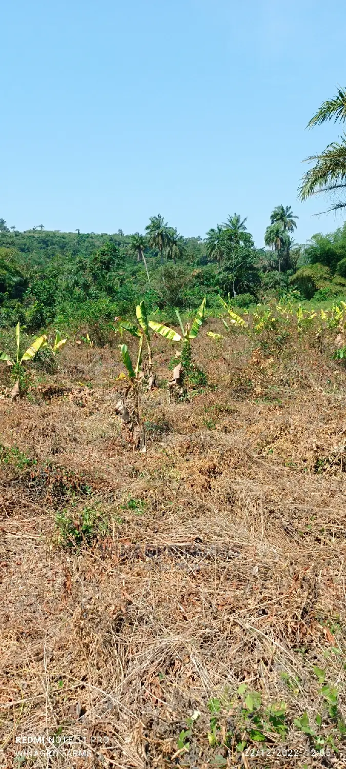 Correct Farm Land for You