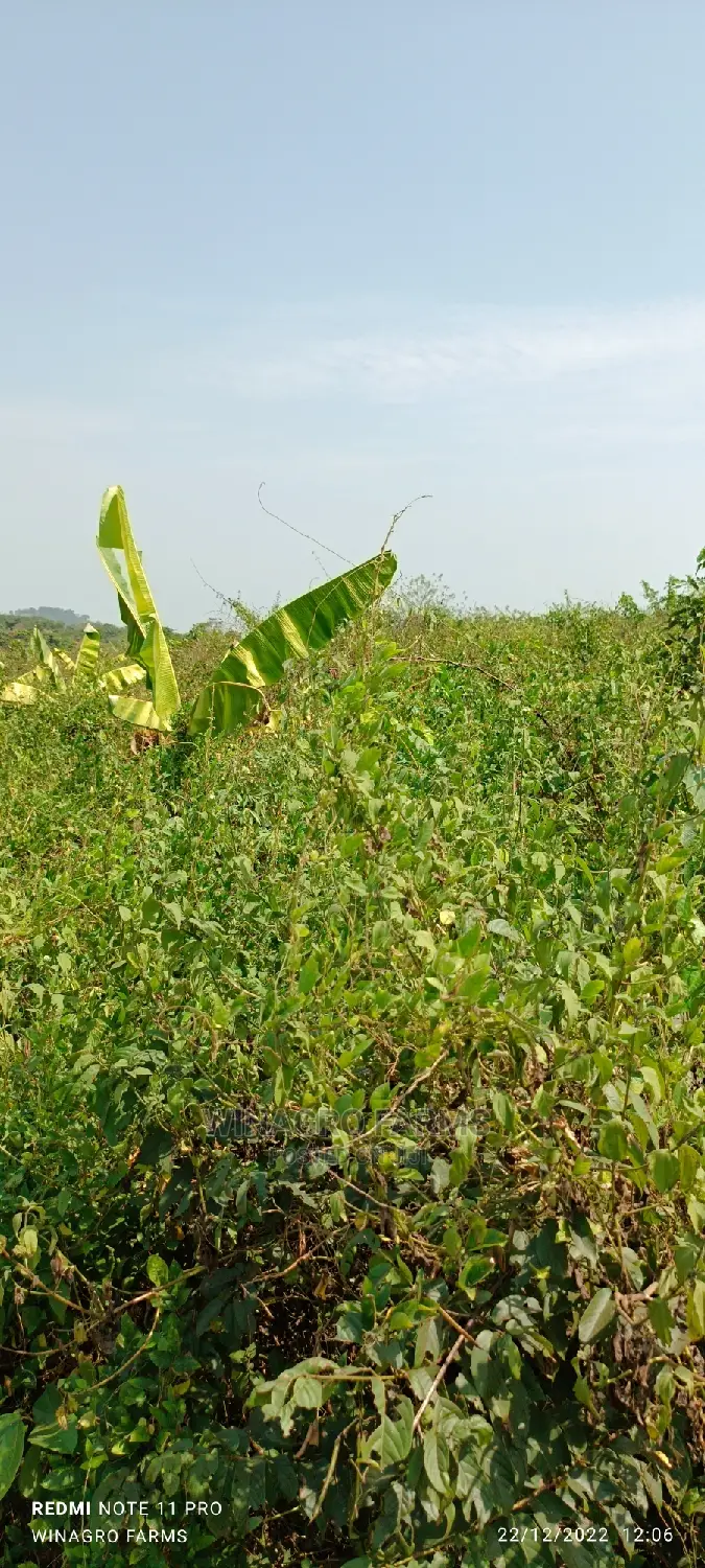 Correct Farm Land for You