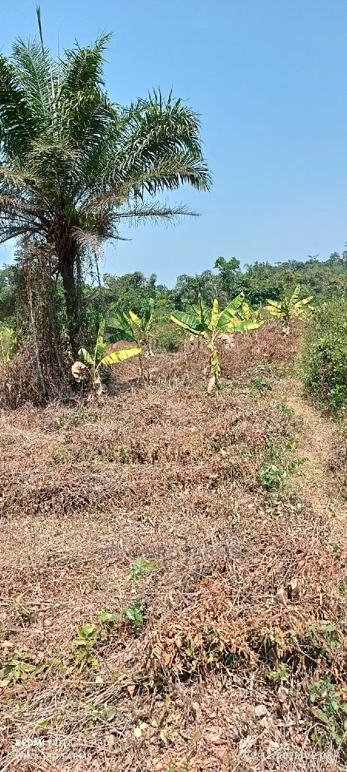Correct Farm Land for You