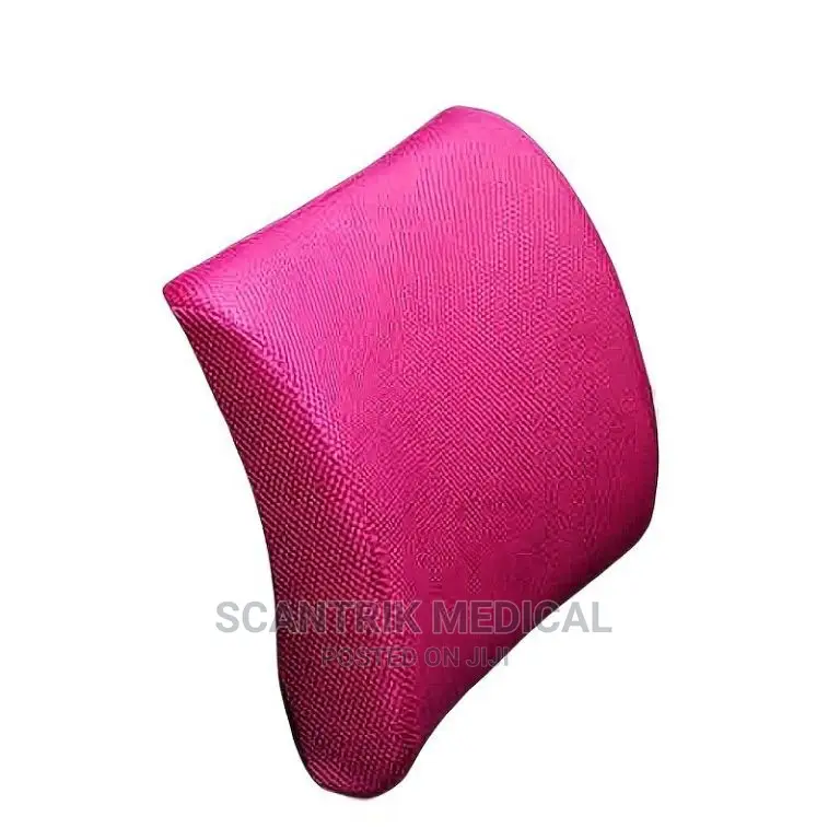 Support Pillow Back Cushion Home Office Car