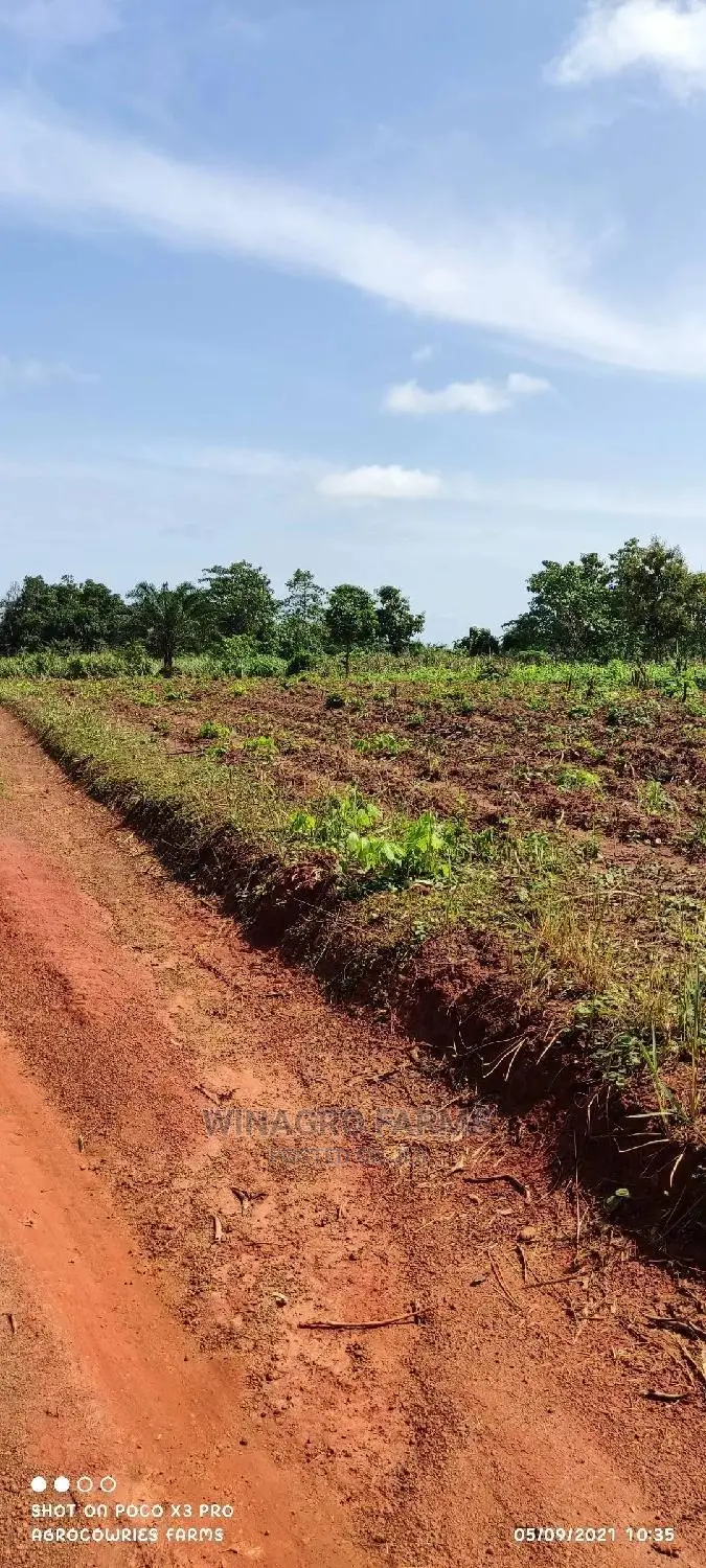 Promise Land for Farming