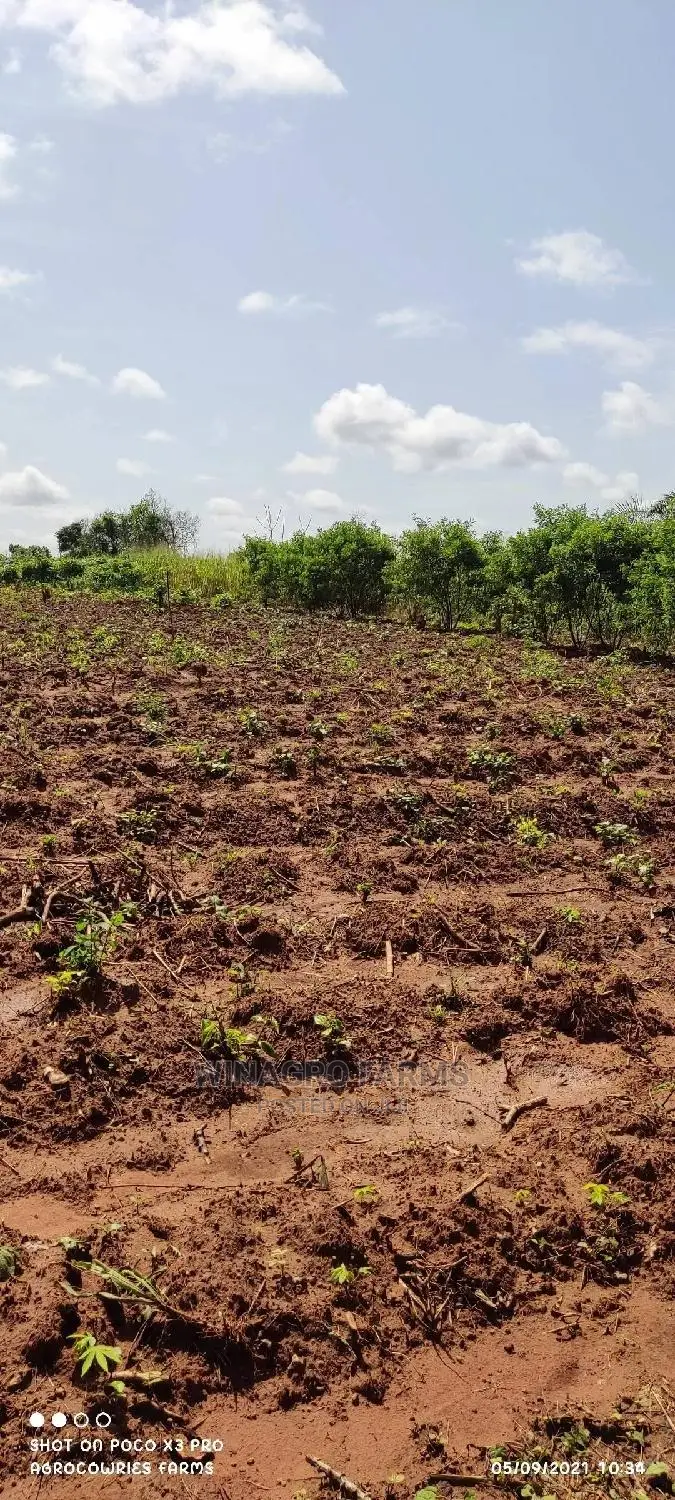 Promise Land for Farming