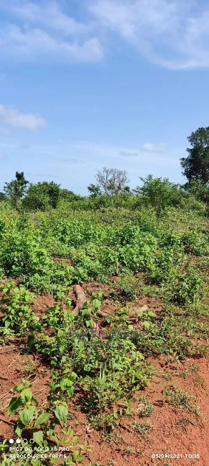 Promise Land for Farming